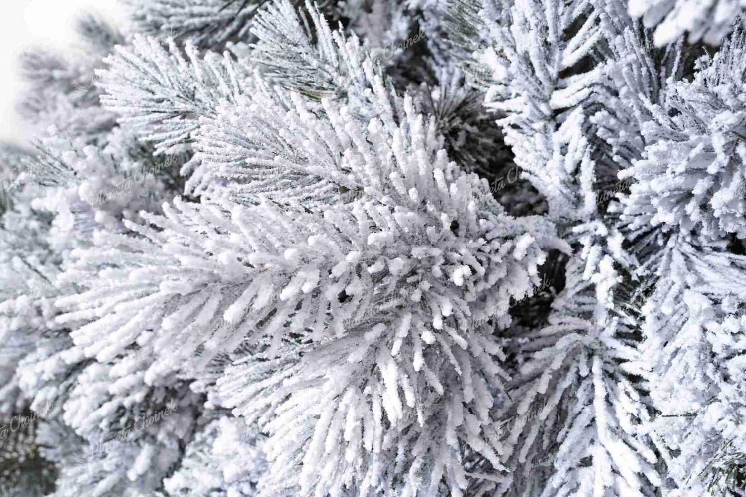 Choinka sztuczna biała PE Sosna Biała