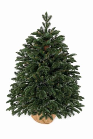 Choinka sztuczna mała ozdobna w doniczce PE Jodła Wdzięczna na komodę