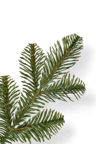 Gałązka choinka sztuczna jak żywa PE Jodła Kaukaska