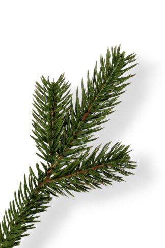 Gałązka choinka sztuczna mała ozdobna PE Mini Jodełka w domu