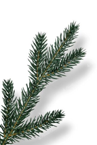 Gałązka ekskluzywna choinka sztuczna jak żywa PE Świerk Górski