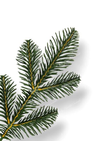 Gałązka nowoczesna choinka sztuczna jak żywa PE Jodła Nordmann NEW