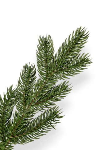 Gałązka nowoczesna choinka sztuczna jak żywa PE Świerk Ekskluzywny