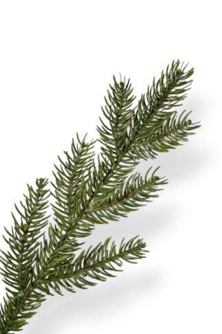 Gałązka premium choinka sztuczna jak żywa 100% PE Świerk Ekskluzywny
