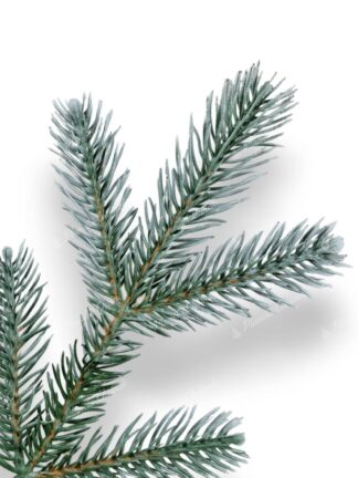 Gałązka premium choinka sztuczna jak żywa PE Świerk Srebrny