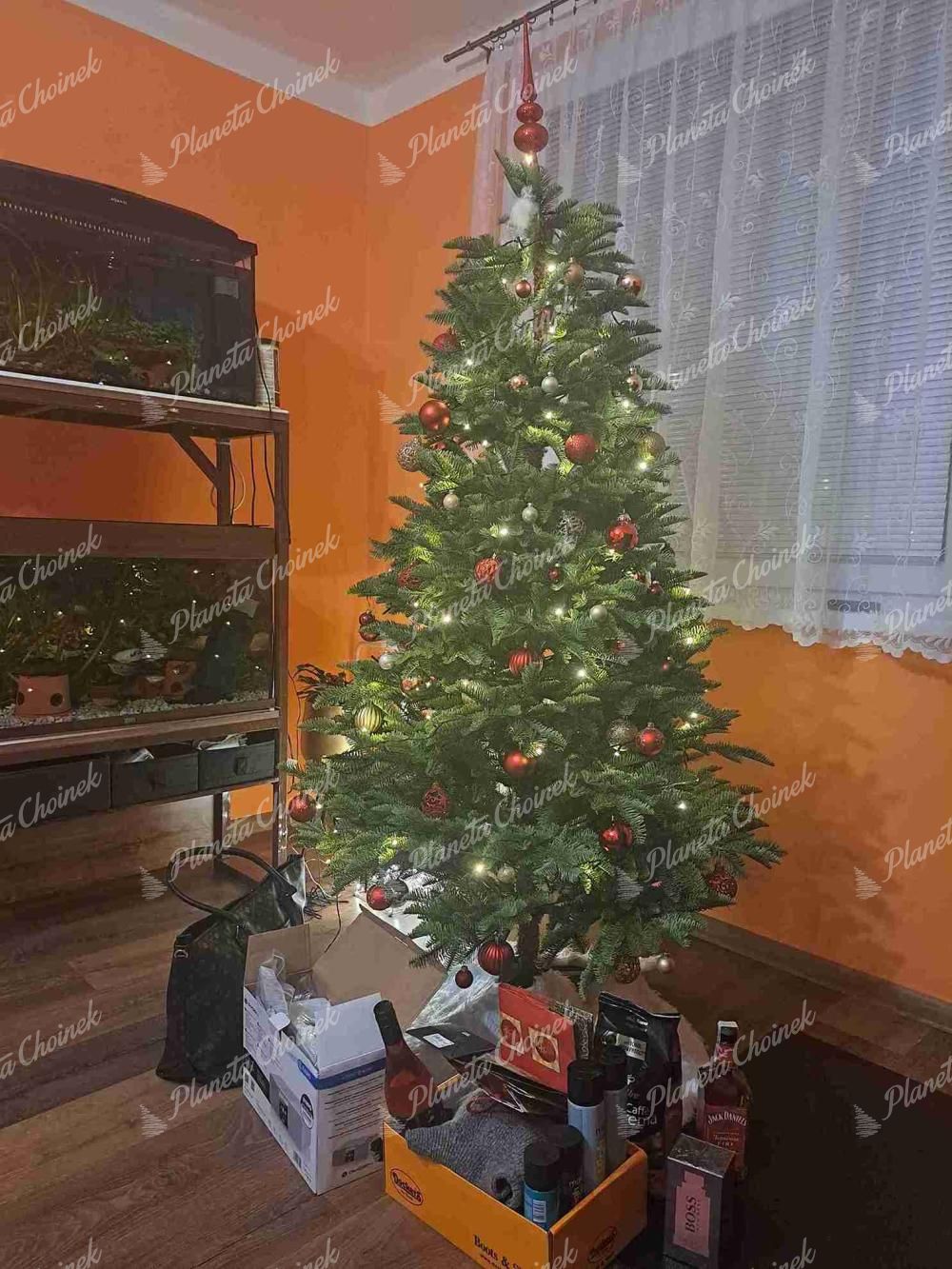 Ubrana ekskluzywna choinka sztuczna jak żywa 100% PE Jodła Kaukaska 180 cm