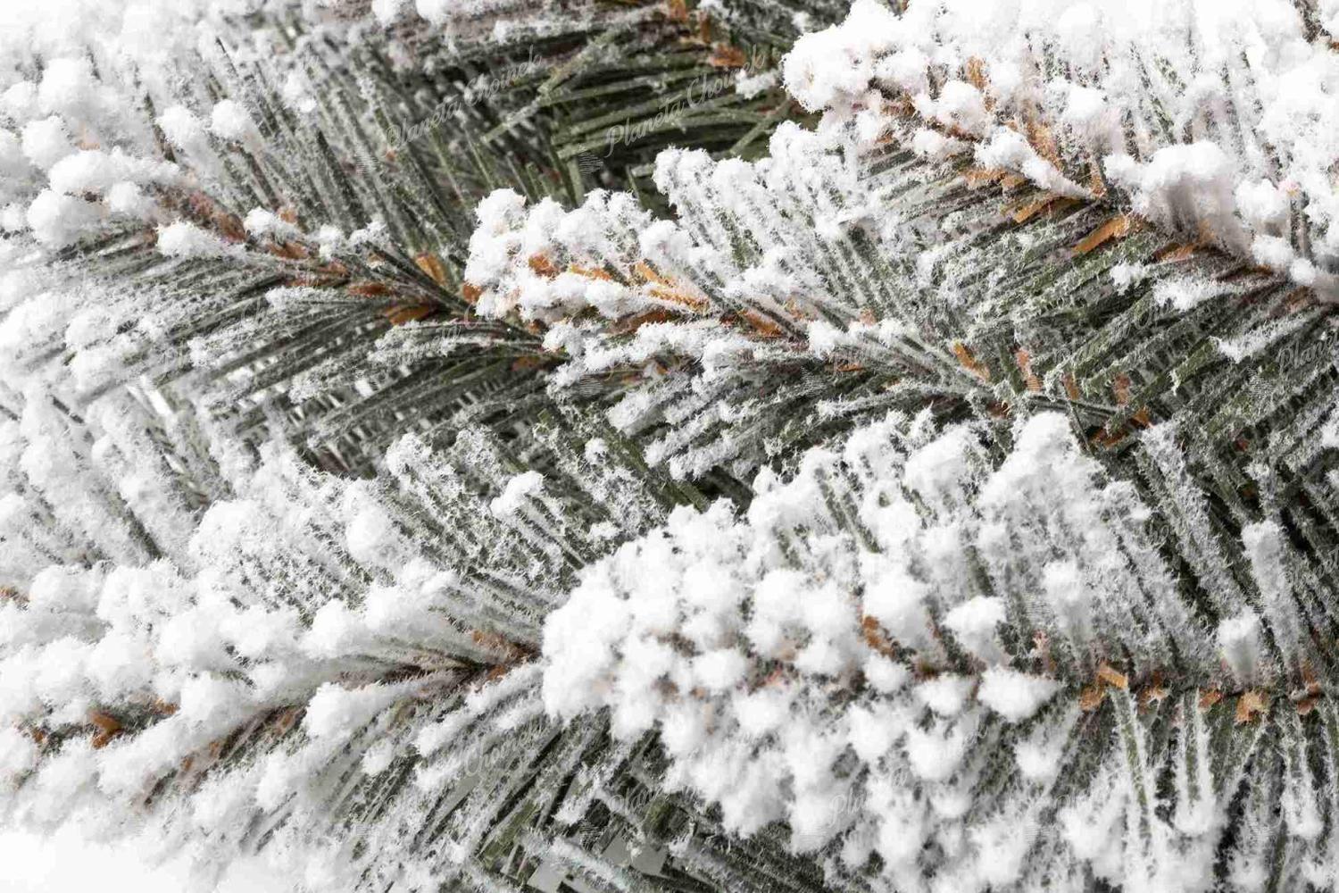 Wianek świąteczny Świerk Biały 50 cm ekskluzywny na drzwi