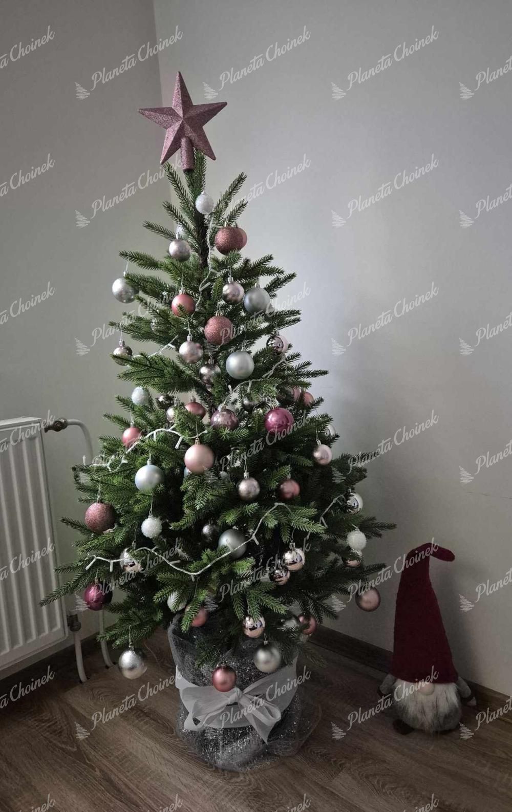 Choinka sztuczna w doniczce PE Świerk Karpacki 150cm